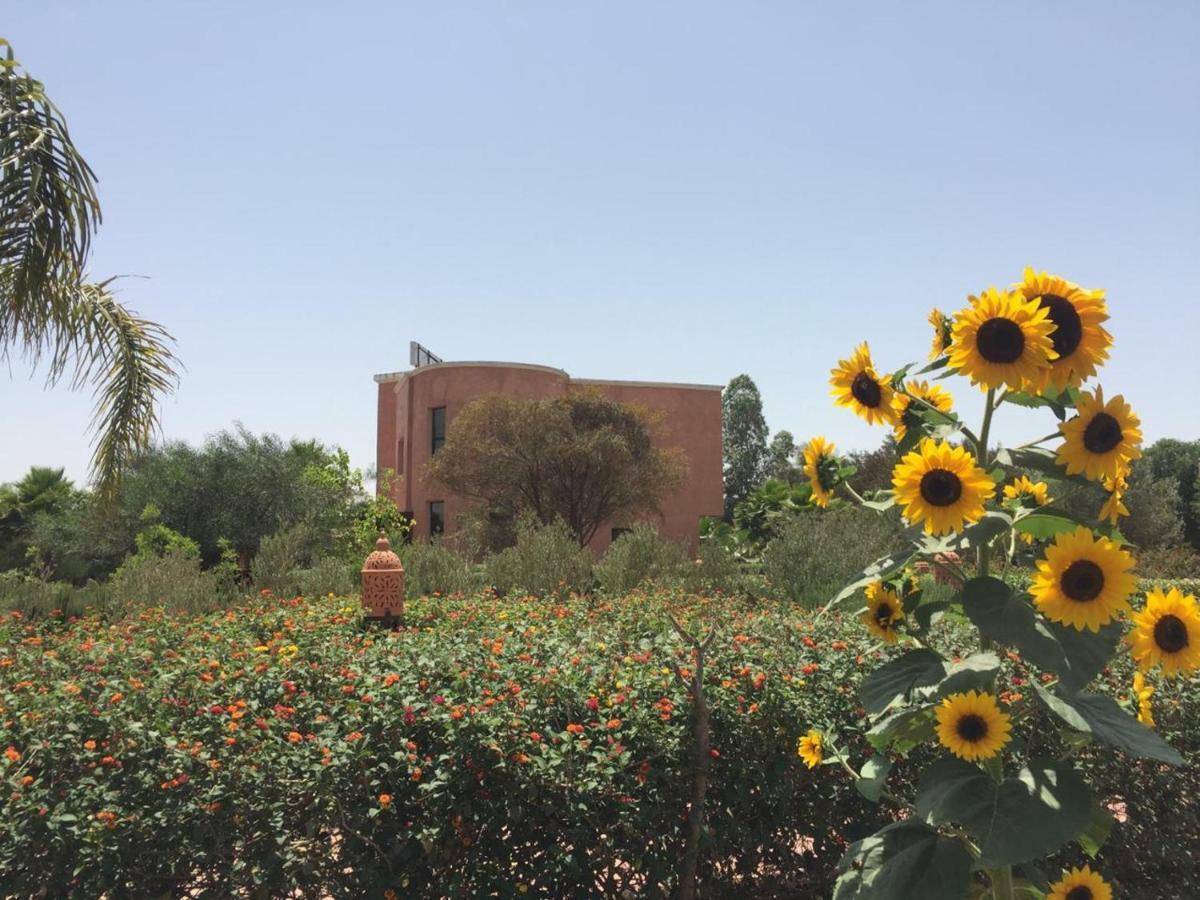 Riad Hamdani Derroua Экстерьер фото